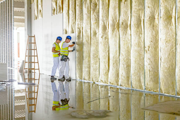 Types of Insulation We Offer in Philipsburg, MT